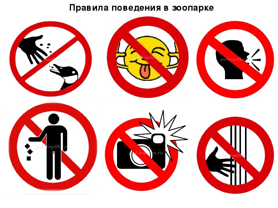 Безопасность в общественных местах