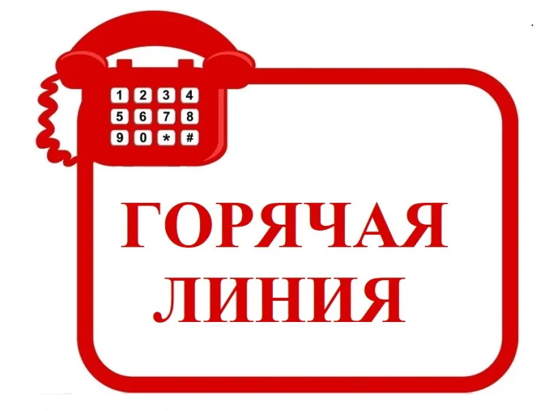Горячая линия МБДОУ